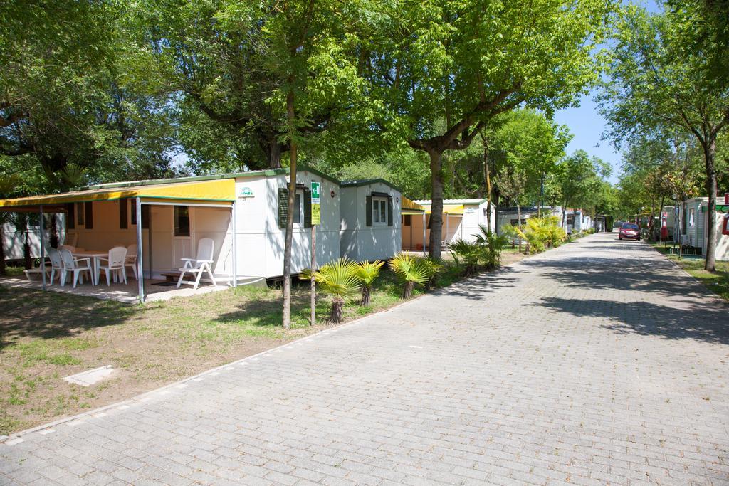 Campsite Klaus