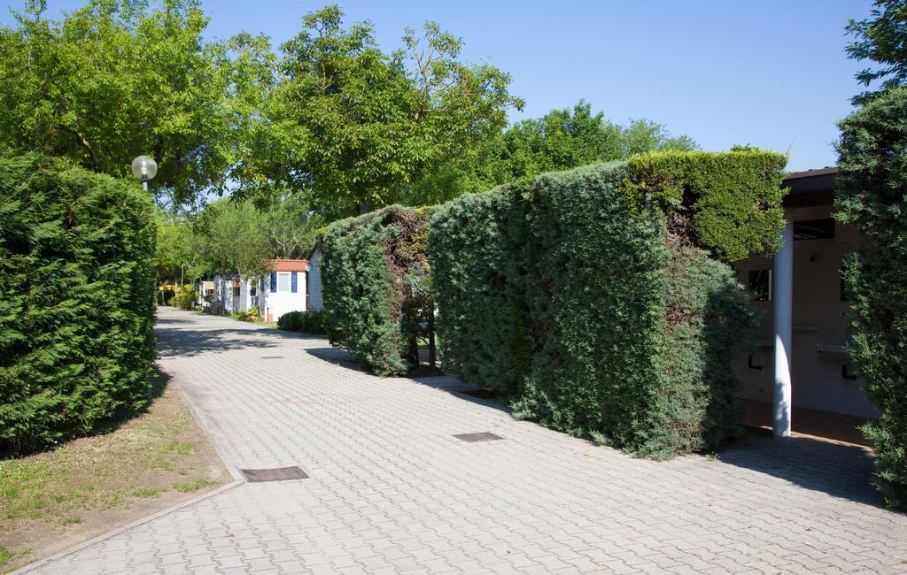 Campsite Klaus Cavallino-Treporti
